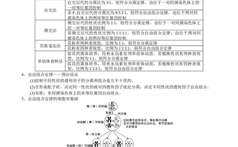 GKSW150_第14讲基因的自由组合定律-备战2022年高考生物一轮复习精品讲义（人教版）(解析版)_新高考复习资料_2022年新高考复习资料_备战2022新高考生物一轮复习精品讲义（人教版）