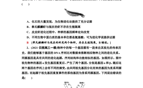[13326507]备考2023生物课时分层作业23　生物的进化(含解析）_新高考复习资料_2023年新高考复习资料_专项复习_备考2023新高考生物课时分层作业