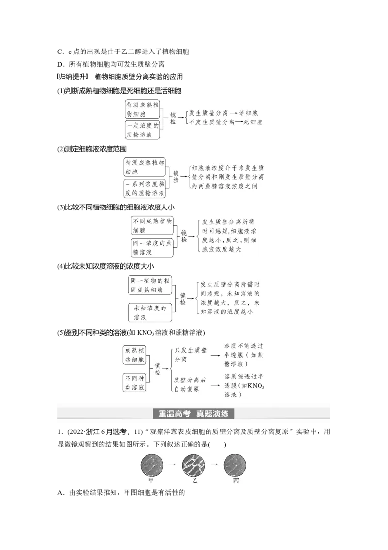 第2单元　第4课时　水进出细胞的原理_2024年新高考资料_1.2024一轮复习_2024年高考生物一轮复习讲义（新人教版）_学生版在此文件夹_大一轮复习讲义