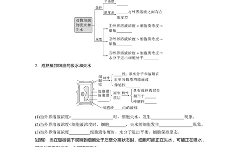 第2单元　第4课时　水进出细胞的原理_2024年新高考资料_1.2024一轮复习_2024年高考生物一轮复习讲义（新人教版）_学生版在此文件夹_大一轮复习讲义