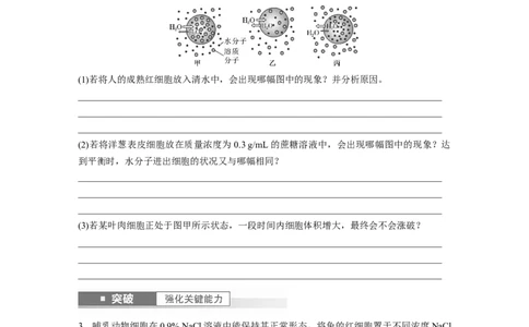 第2单元　第4课时　水进出细胞的原理_2024年新高考资料_1.2024一轮复习_2024年高考生物一轮复习讲义（新人教版）_学生版在此文件夹_大一轮复习讲义