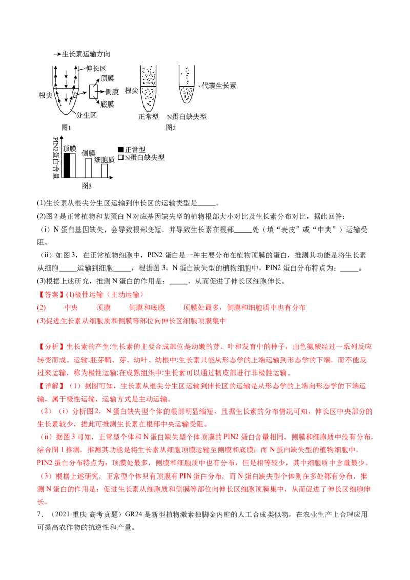 第32.1讲植物生长素（练习）（解析版）_2024年新高考资料_1.2024一轮复习_2024年高考生物一轮复习讲练测（新教材新高考）