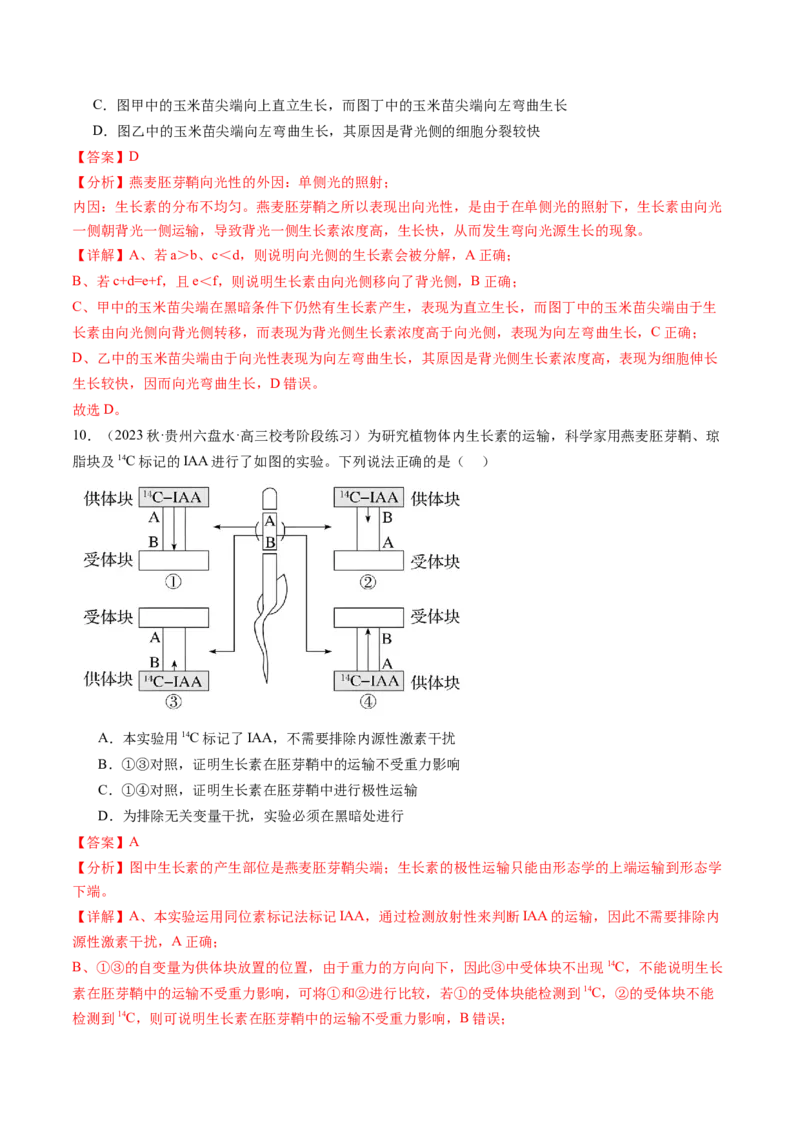 第32.1讲植物生长素（练习）（解析版）_2024年新高考资料_1.2024一轮复习_2024年高考生物一轮复习讲练测（新教材新高考）