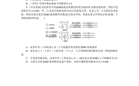 专练56　人类遗传病_新高考复习资料_2023年新高考复习资料_专项复习_2023《微专题&middot;小练习》&middot;生物&middot;新教材&middot;XL-7