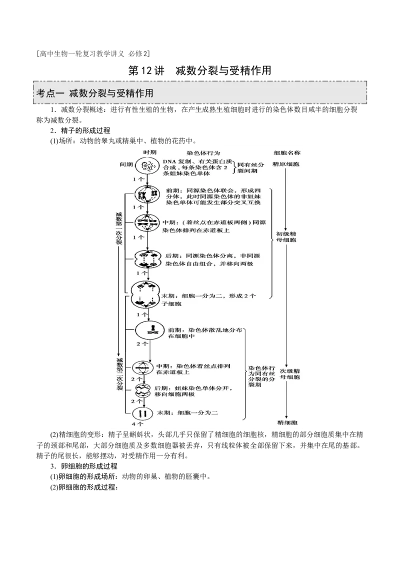 GKSW150_第12讲减数分裂与受精作用-备战2022年高考生物一轮复习精品讲义（人教版）(原卷版)_新高考复习资料_2022年新高考复习资料_备战2022新高考生物一轮复习精品讲义（人教版）
