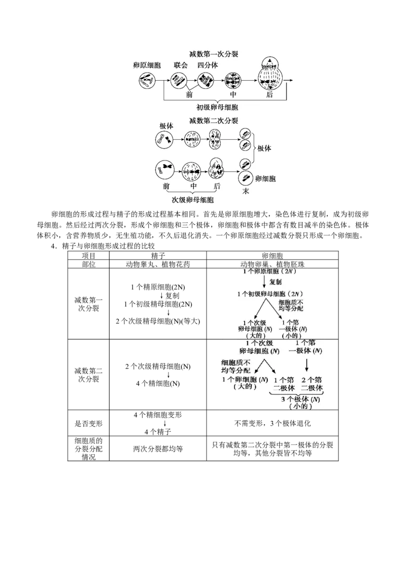 GKSW150_第12讲减数分裂与受精作用-备战2022年高考生物一轮复习精品讲义（人教版）(原卷版)_新高考复习资料_2022年新高考复习资料_备战2022新高考生物一轮复习精品讲义（人教版）