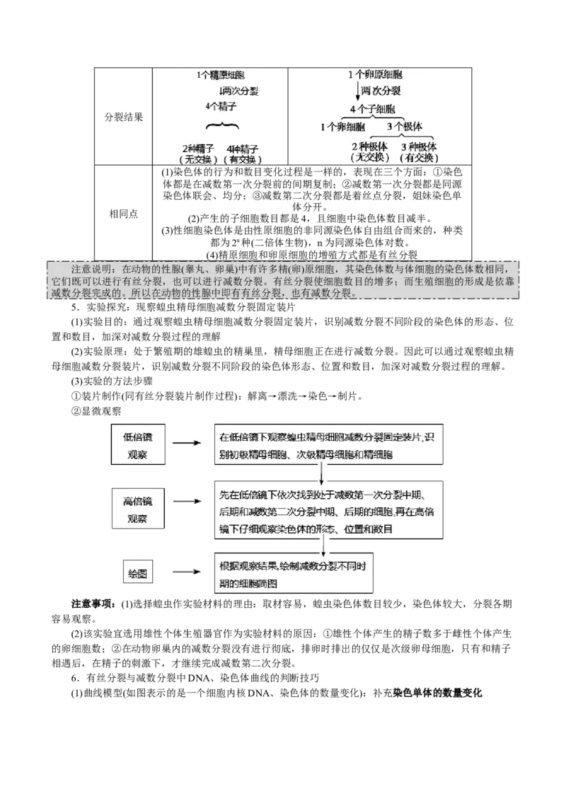 GKSW150_第12讲减数分裂与受精作用-备战2022年高考生物一轮复习精品讲义（人教版）(原卷版)_新高考复习资料_2022年新高考复习资料_备战2022新高考生物一轮复习精品讲义（人教版）