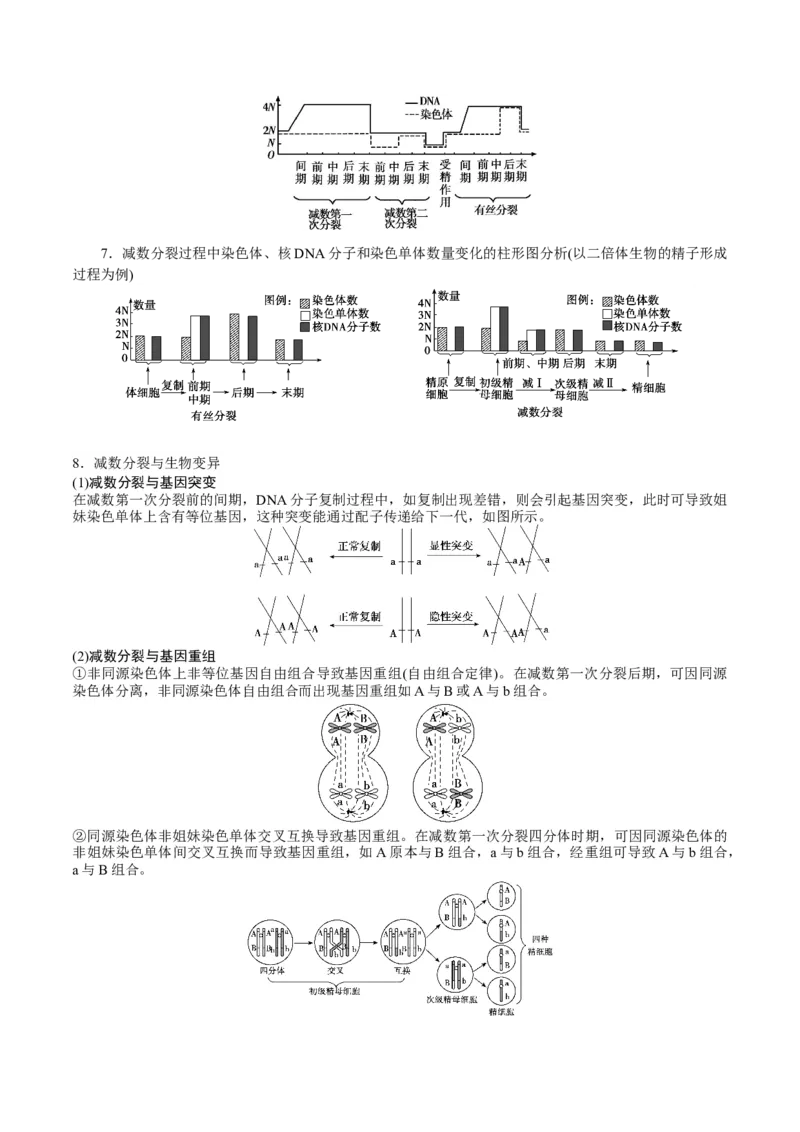GKSW150_第12讲减数分裂与受精作用-备战2022年高考生物一轮复习精品讲义（人教版）(原卷版)_新高考复习资料_2022年新高考复习资料_备战2022新高考生物一轮复习精品讲义（人教版）
