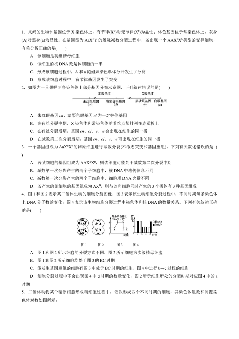 GKSW150_第12讲减数分裂与受精作用-备战2022年高考生物一轮复习精品讲义（人教版）(原卷版)_新高考复习资料_2022年新高考复习资料_备战2022新高考生物一轮复习精品讲义（人教版）