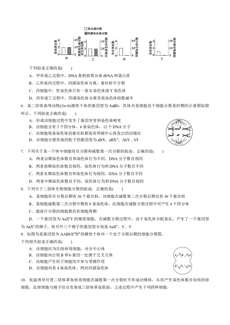 GKSW150_第12讲减数分裂与受精作用-备战2022年高考生物一轮复习精品讲义（人教版）(原卷版)_新高考复习资料_2022年新高考复习资料_备战2022新高考生物一轮复习精品讲义（人教版）
