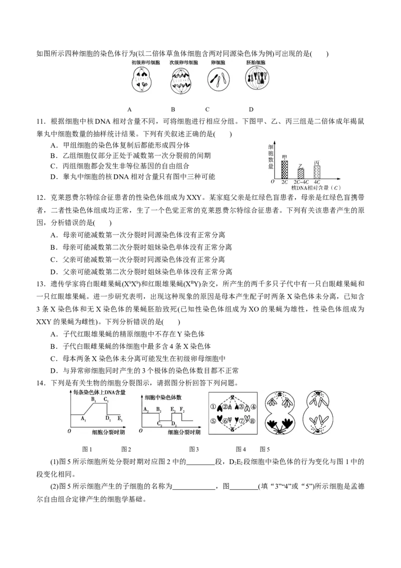 GKSW150_第12讲减数分裂与受精作用-备战2022年高考生物一轮复习精品讲义（人教版）(原卷版)_新高考复习资料_2022年新高考复习资料_备战2022新高考生物一轮复习精品讲义（人教版）