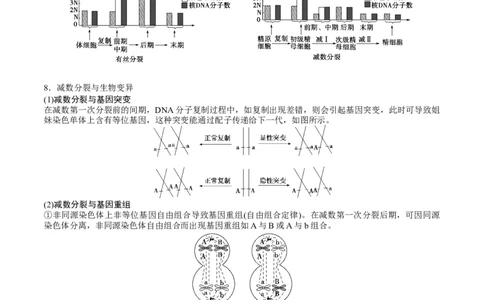 GKSW150_第12讲减数分裂与受精作用-备战2022年高考生物一轮复习精品讲义（人教版）(原卷版)_新高考复习资料_2022年新高考复习资料_备战2022新高考生物一轮复习精品讲义（人教版）