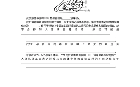 2025届高中生物学一轮复习检测案1　借助显微镜　走近细胞（含解析）_2025年新高考资料_一轮复习_2025届高中生物学一轮复习分层复习检测(含解析)
