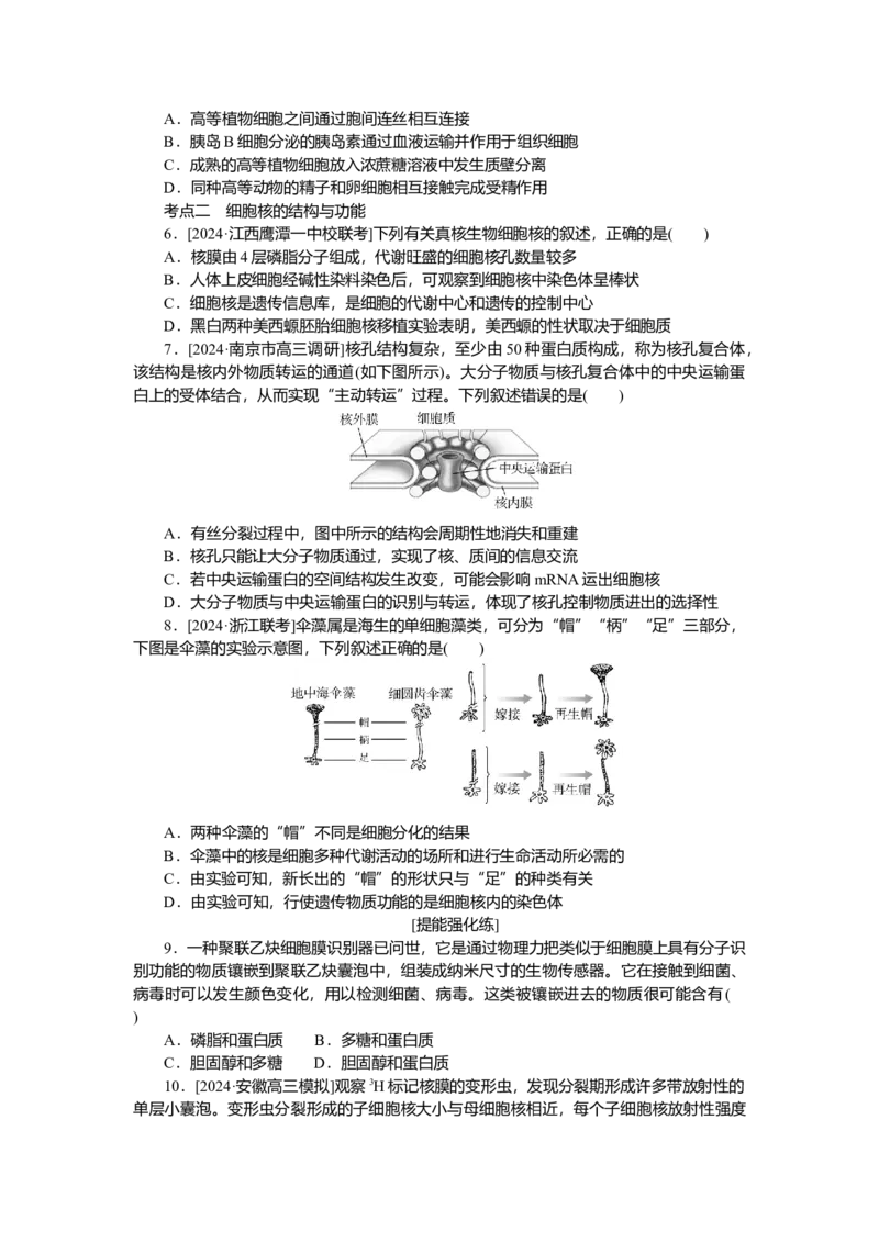2025届高中生物学一轮复习检测案5　细胞膜与细胞核（含解析）_2025年新高考资料_一轮复习_2025届高中生物学一轮复习分层复习检测(含解析)