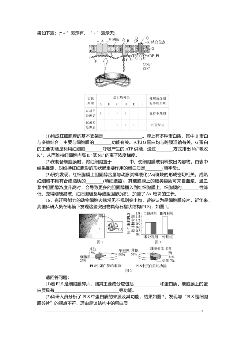 2025届高中生物学一轮复习检测案5　细胞膜与细胞核（含解析）_2025年新高考资料_一轮复习_2025届高中生物学一轮复习分层复习检测(含解析)