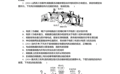 2025届高中生物学一轮复习检测案5　细胞膜与细胞核（含解析）_2025年新高考资料_一轮复习_2025届高中生物学一轮复习分层复习检测(含解析)