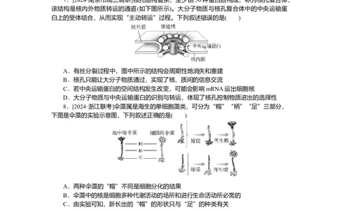2025届高中生物学一轮复习检测案5　细胞膜与细胞核（含解析）_2025年新高考资料_一轮复习_2025届高中生物学一轮复习分层复习检测(含解析)