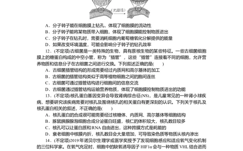 2025届高中生物学一轮复习检测案5　细胞膜与细胞核（含解析）_2025年新高考资料_一轮复习_2025届高中生物学一轮复习分层复习检测(含解析)