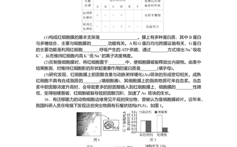 2025届高中生物学一轮复习检测案5　细胞膜与细胞核（含解析）_2025年新高考资料_一轮复习_2025届高中生物学一轮复习分层复习检测(含解析)