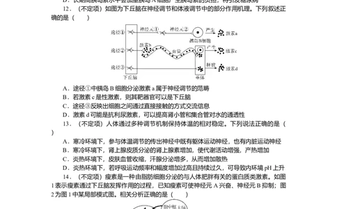 2025届高中生物学一轮复习检测案29　激素调节及体液调节与神经调节的关系（含解析）_2025年新高考资料_一轮复习_2025届高中生物学一轮复习分层复习检测(含解析)