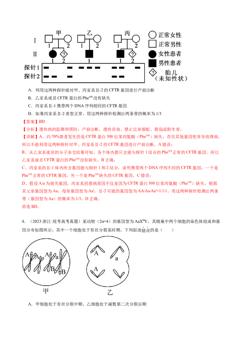 第23讲生物的变异（练习）（解析版）_2024年新高考资料_1.2024一轮复习_2024年高考生物一轮复习讲练测（新教材新高考）