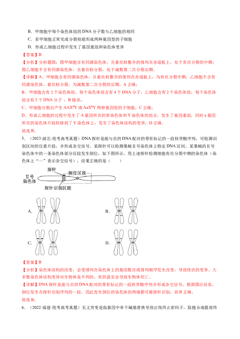 第23讲生物的变异（练习）（解析版）_2024年新高考资料_1.2024一轮复习_2024年高考生物一轮复习讲练测（新教材新高考）