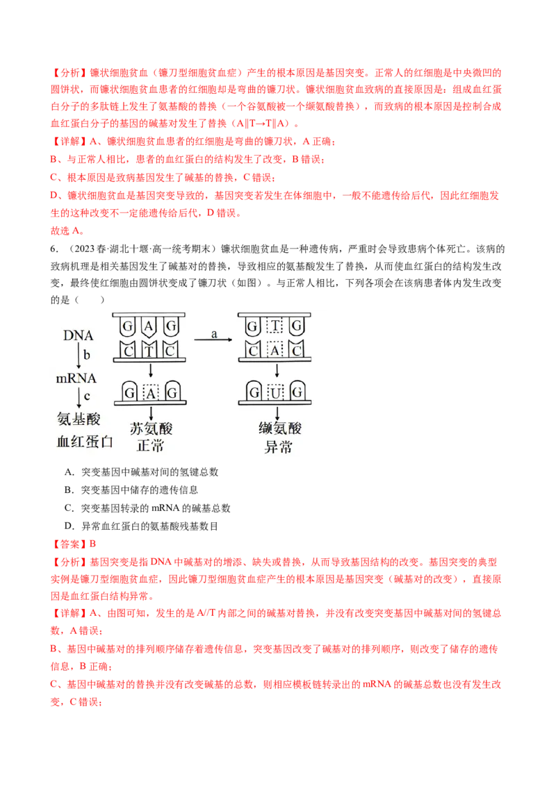 第23讲生物的变异（练习）（解析版）_2024年新高考资料_1.2024一轮复习_2024年高考生物一轮复习讲练测（新教材新高考）