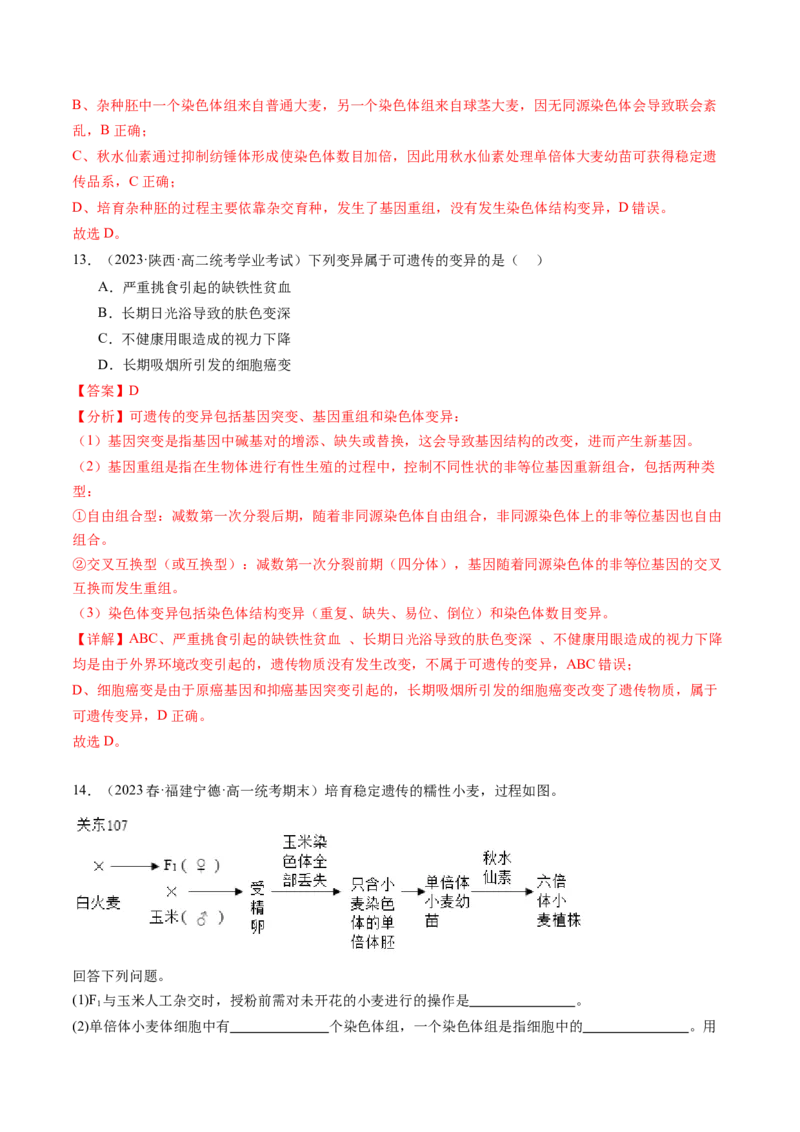 第23讲生物的变异（练习）（解析版）_2024年新高考资料_1.2024一轮复习_2024年高考生物一轮复习讲练测（新教材新高考）