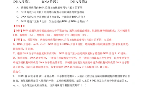第23讲生物的变异（练习）（解析版）_2024年新高考资料_1.2024一轮复习_2024年高考生物一轮复习讲练测（新教材新高考）