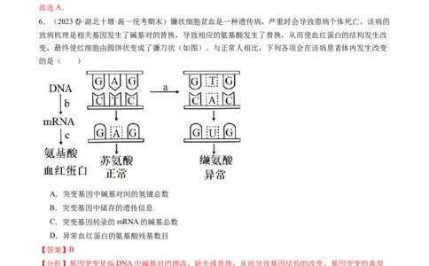 第23讲生物的变异（练习）（解析版）_2024年新高考资料_1.2024一轮复习_2024年高考生物一轮复习讲练测（新教材新高考）
