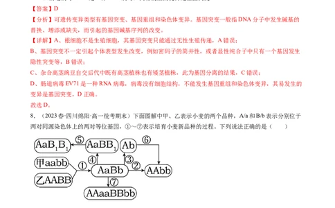 第23讲生物的变异（练习）（解析版）_2024年新高考资料_1.2024一轮复习_2024年高考生物一轮复习讲练测（新教材新高考）