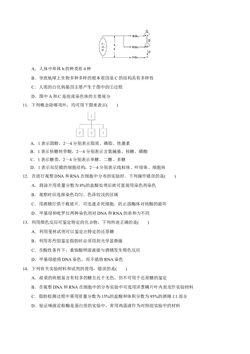 GKSW150_第3讲组成细胞的有机化合物-备战2022年高考生物一轮复习精品讲义（人教版）(原卷版)_新高考复习资料_2022年新高考复习资料_备战2022新高考生物一轮复习精品讲义（人教版）