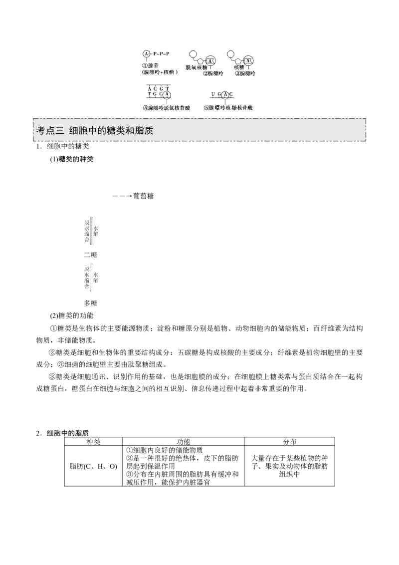 GKSW150_第3讲组成细胞的有机化合物-备战2022年高考生物一轮复习精品讲义（人教版）(原卷版)_新高考复习资料_2022年新高考复习资料_备战2022新高考生物一轮复习精品讲义（人教版）