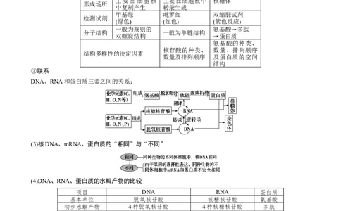 GKSW150_第3讲组成细胞的有机化合物-备战2022年高考生物一轮复习精品讲义（人教版）(原卷版)_新高考复习资料_2022年新高考复习资料_备战2022新高考生物一轮复习精品讲义（人教版）