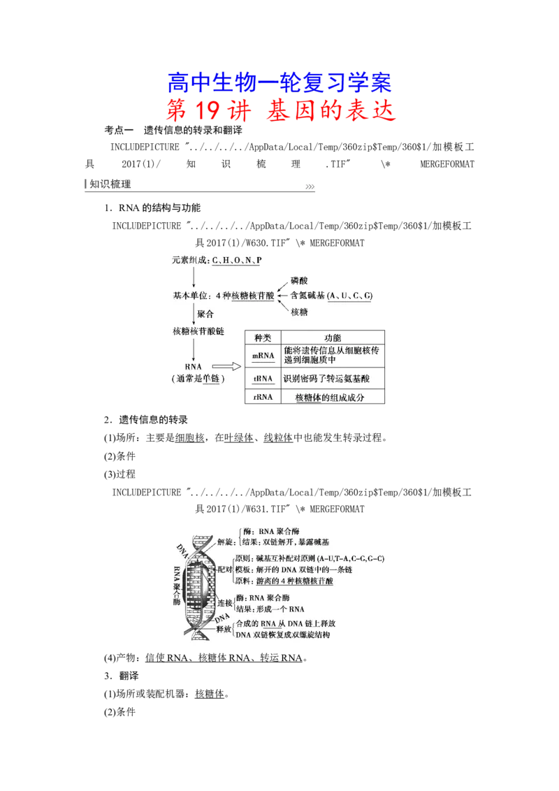[12533093]高中生物一轮复习学案：第19讲　基因的表达_新高考复习资料_2023年新高考复习资料_一轮复习_精讲精练2023届新高考生物一轮复习学案