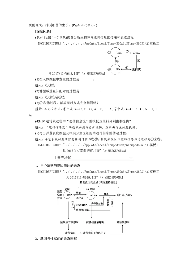 [12533093]高中生物一轮复习学案：第19讲　基因的表达_新高考复习资料_2023年新高考复习资料_一轮复习_精讲精练2023届新高考生物一轮复习学案