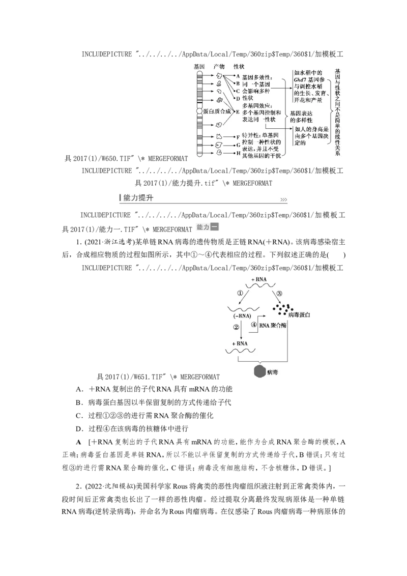 [12533093]高中生物一轮复习学案：第19讲　基因的表达_新高考复习资料_2023年新高考复习资料_一轮复习_精讲精练2023届新高考生物一轮复习学案