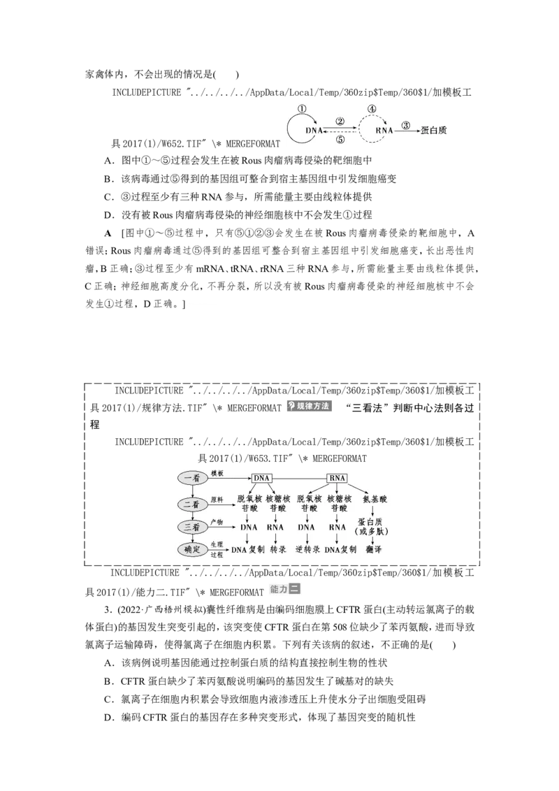 [12533093]高中生物一轮复习学案：第19讲　基因的表达_新高考复习资料_2023年新高考复习资料_一轮复习_精讲精练2023届新高考生物一轮复习学案