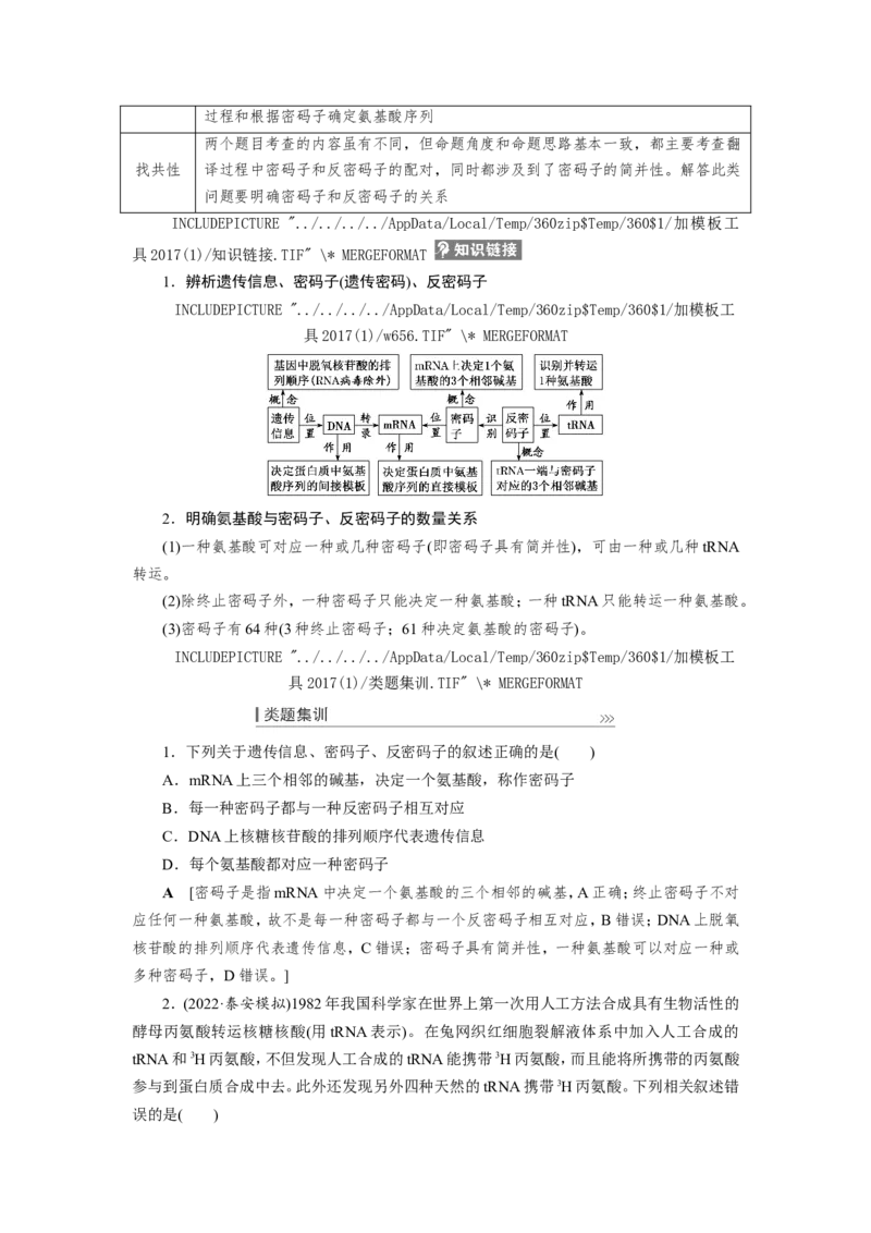 [12533093]高中生物一轮复习学案：第19讲　基因的表达_新高考复习资料_2023年新高考复习资料_一轮复习_精讲精练2023届新高考生物一轮复习学案