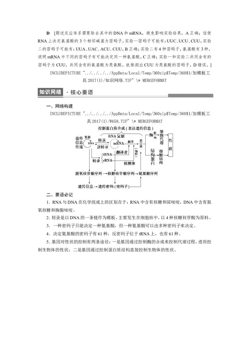 [12533093]高中生物一轮复习学案：第19讲　基因的表达_新高考复习资料_2023年新高考复习资料_一轮复习_精讲精练2023届新高考生物一轮复习学案