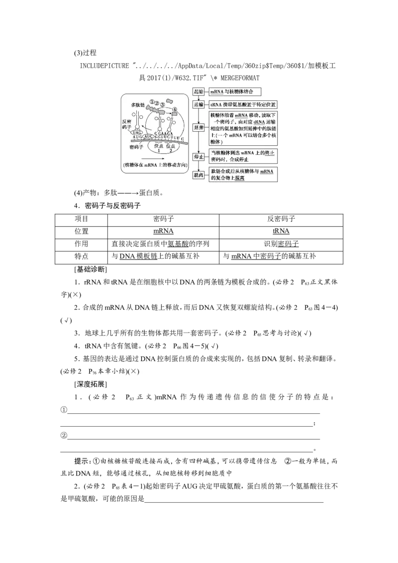 [12533093]高中生物一轮复习学案：第19讲　基因的表达_新高考复习资料_2023年新高考复习资料_一轮复习_精讲精练2023届新高考生物一轮复习学案