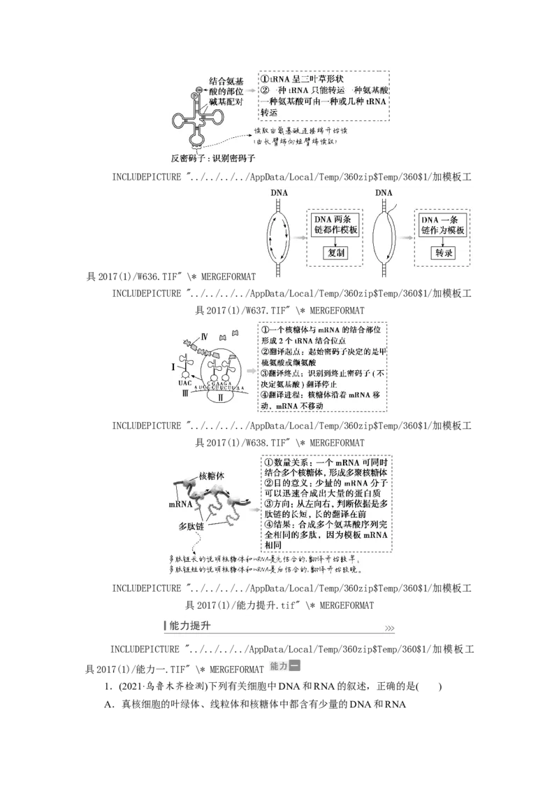 [12533093]高中生物一轮复习学案：第19讲　基因的表达_新高考复习资料_2023年新高考复习资料_一轮复习_精讲精练2023届新高考生物一轮复习学案