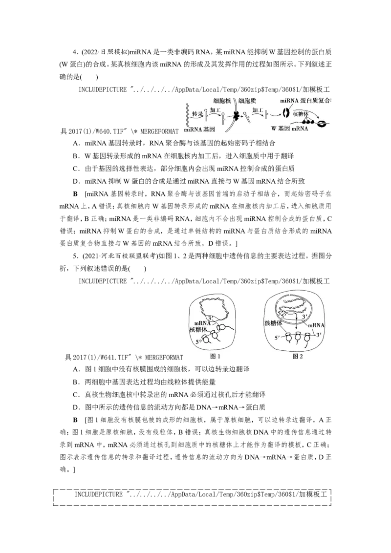 [12533093]高中生物一轮复习学案：第19讲　基因的表达_新高考复习资料_2023年新高考复习资料_一轮复习_精讲精练2023届新高考生物一轮复习学案
