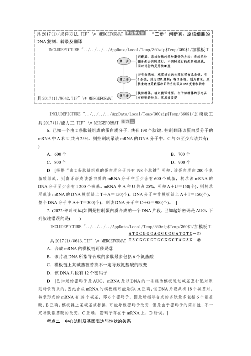 [12533093]高中生物一轮复习学案：第19讲　基因的表达_新高考复习资料_2023年新高考复习资料_一轮复习_精讲精练2023届新高考生物一轮复习学案