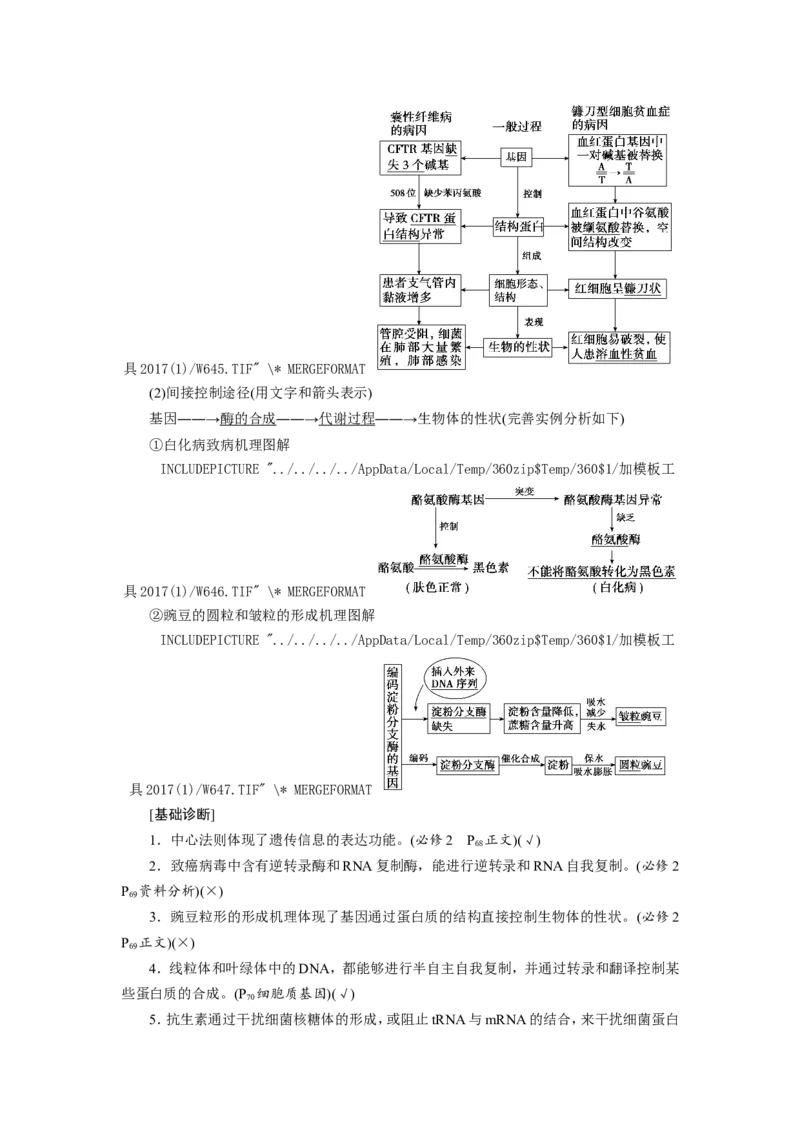 [12533093]高中生物一轮复习学案：第19讲　基因的表达_新高考复习资料_2023年新高考复习资料_一轮复习_精讲精练2023届新高考生物一轮复习学案