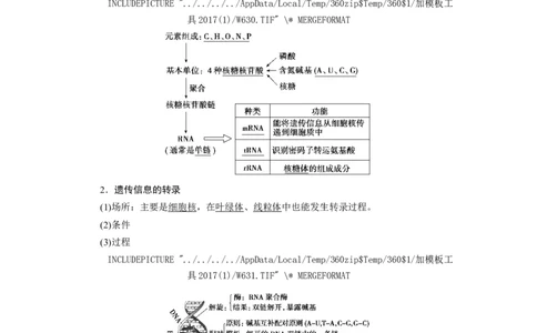 [12533093]高中生物一轮复习学案：第19讲　基因的表达_新高考复习资料_2023年新高考复习资料_一轮复习_精讲精练2023届新高考生物一轮复习学案