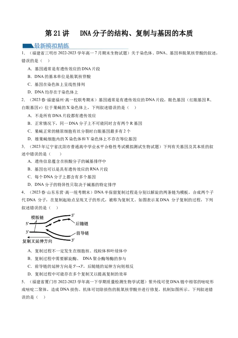 第21讲DNA分子的结构、复制与基因的本质（练习）（原卷版）_2024年新高考资料_1.2024一轮复习_2024年高考生物一轮复习讲练测（新教材新高考）