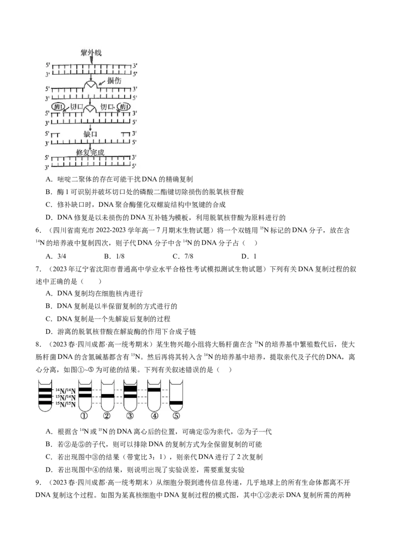 第21讲DNA分子的结构、复制与基因的本质（练习）（原卷版）_2024年新高考资料_1.2024一轮复习_2024年高考生物一轮复习讲练测（新教材新高考）