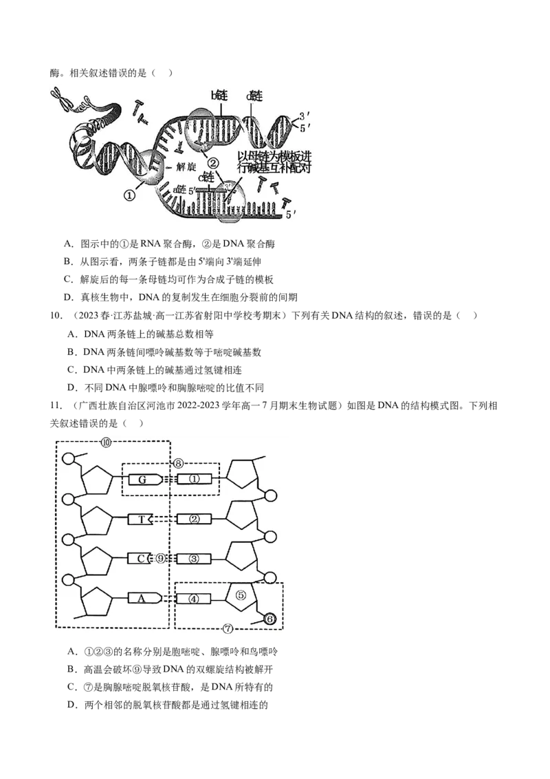 第21讲DNA分子的结构、复制与基因的本质（练习）（原卷版）_2024年新高考资料_1.2024一轮复习_2024年高考生物一轮复习讲练测（新教材新高考）