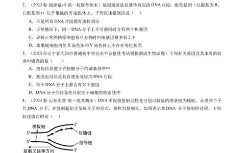 第21讲DNA分子的结构、复制与基因的本质（练习）（原卷版）_2024年新高考资料_1.2024一轮复习_2024年高考生物一轮复习讲练测（新教材新高考）